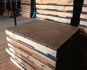 Pallets for  blueberry crates