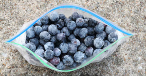 freeze-bluberries